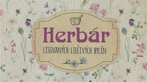 Ilustrácia rôznych liečivých bylín