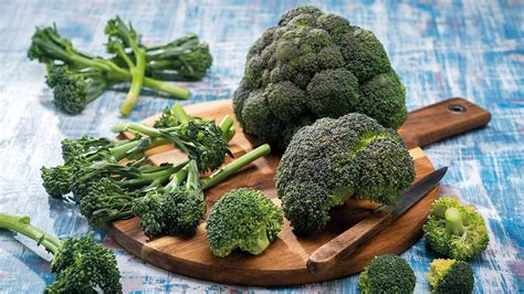 Porovnanie druhov brokolice: klasická, čínska, broccolini, raab