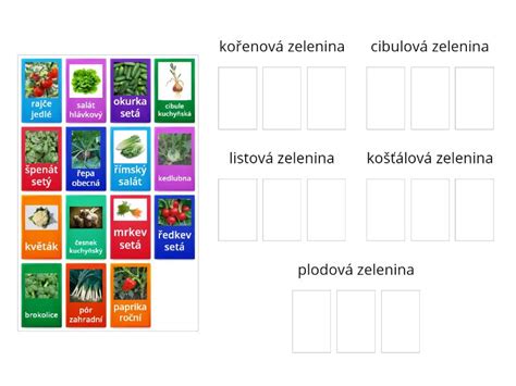 Infografika: Rozdelenie hlúbovej zeleniny a jej hlavné druhy