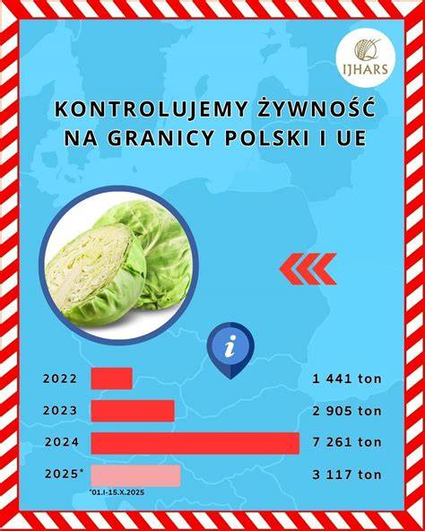 Infografika: Pôvod kapusty a šírenie do Európy