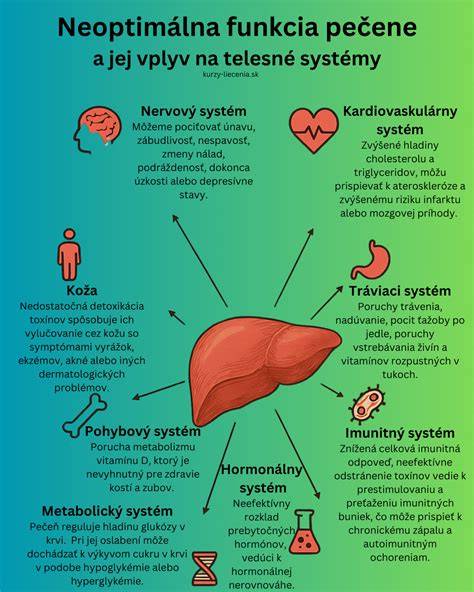 Infografika: Vplyv acidofilného mlieka na tráviaci trakt a pečeň