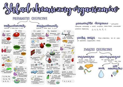 Infografika o rozdelení makro- a mikronutrientov a ich zdrojoch vo vzťahu k melónu, kukurici, mrkve, vajcu, zmrzline, hríbu a príboru