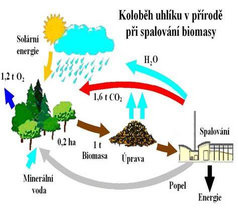 Schéma chemického procesu uvoľňovania oxidu uhličitého