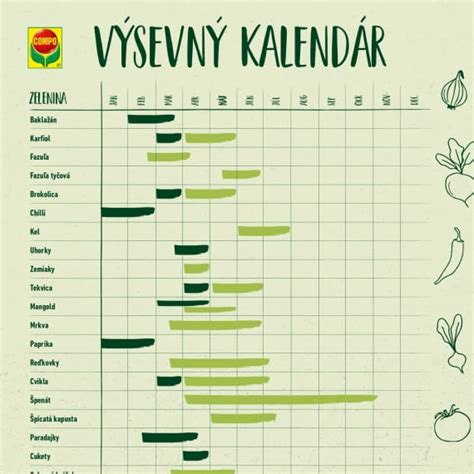 Infografika: Výsevný kalendár papriky - interiér vs exteriér
