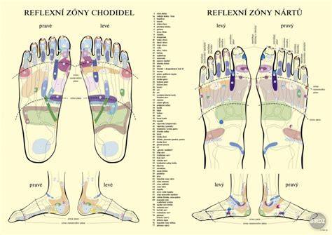 Infografika: Reflexné zóny na chodidlách a ich spojenie s orgánmi