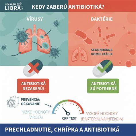 Infografika: Antibiotiká a odolné baktérie v konvenčne vs. udržateľne chovanom hovädzom mäse