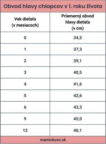 Obrázok: Torty podľa veku a záujmov
