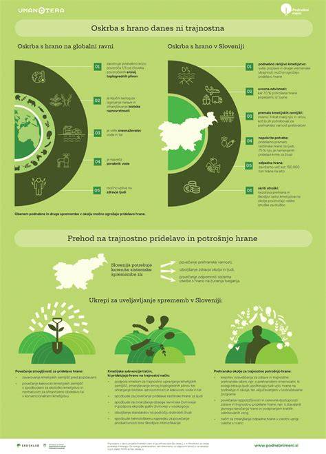 Infografika s postupom prípravy a zložením koláča