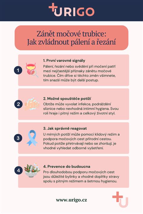 Infografika: krok za krokom ako zvládnuť vianočnú pekáreň