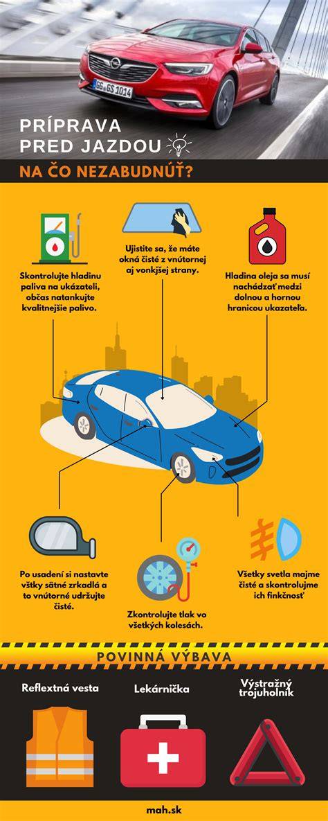 Infografika: príprava guliek