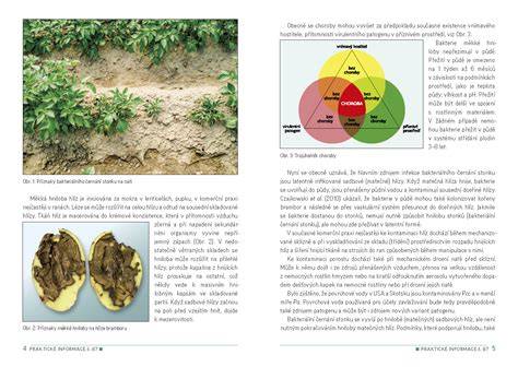 Infografika: Biologická ochrana sadbových zemiakov