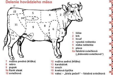 Infografika: Rozdelenie chovu hovädzieho dobytka podľa využitia (mäso, mlieko, kombinovaný)