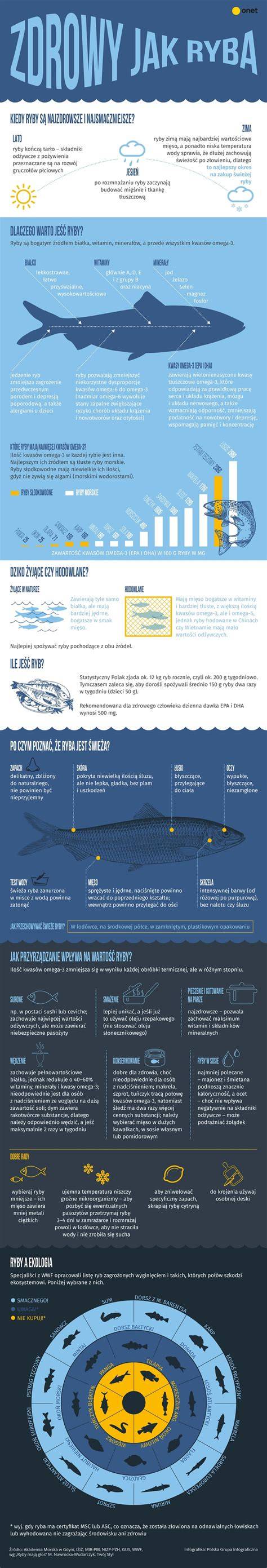 Infografika: Základné kroky kreslenia ryby zasiahnutej prúdom