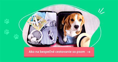 Obrázok: Bezpečné podávanie papriky psom - prirodzené zdroje živín a bezpečné prípravy