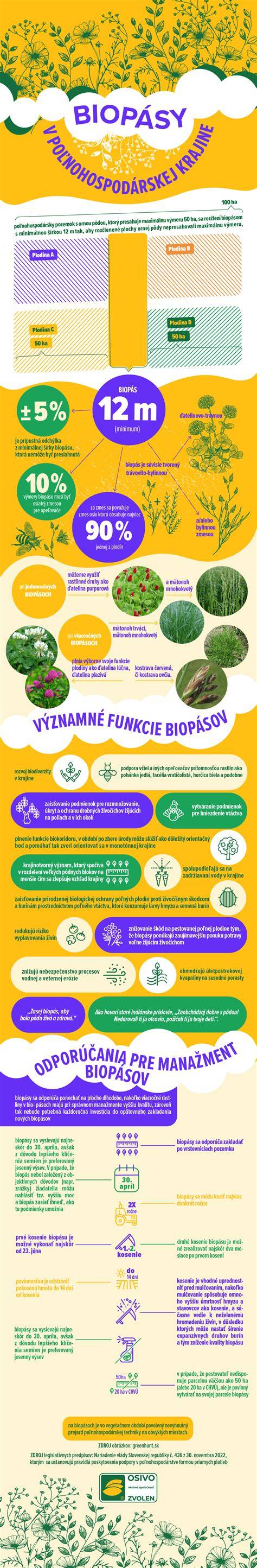 Infografika: Správny postup riedenia a kŕmenia jahňat
