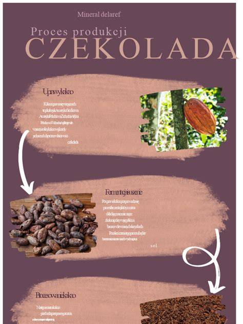 Infografika: Proces výroby a montáže Norges Hus