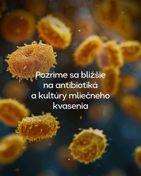 Infografika o procese kvasenia a benefitoch probiotík