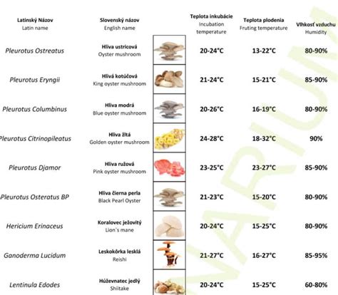 Infografika: Optimálne teploty a podmienky pre klíčenie uhoriek