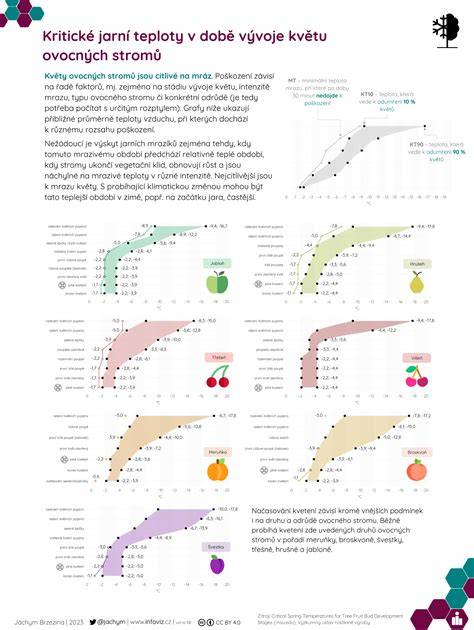 Infografika: Základný postup prípravy ovocných roliek