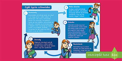 Infografika: 7 typov dressingov a ich základné zložky