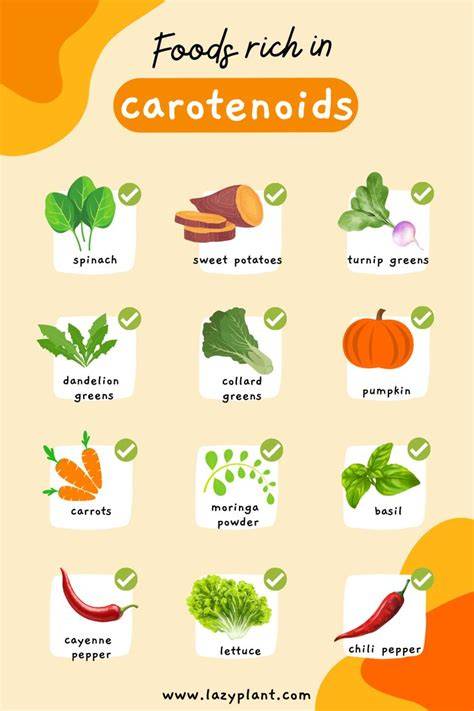 Infografika: Carotenoids in vegetables and how to prepare Minestrone