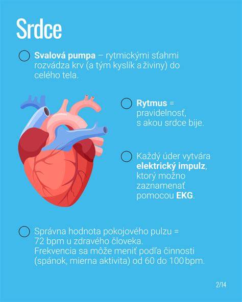 Infografika: Tvar srdca s obrúčkami a možné varianty zdobenia