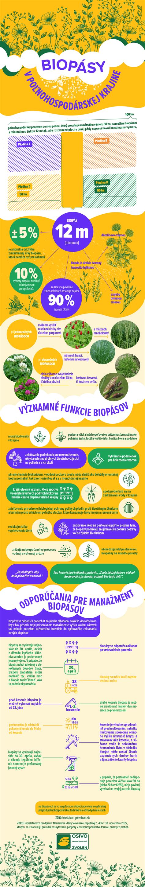 Infografika: Správny postup výberu odrody a termínu výsadby