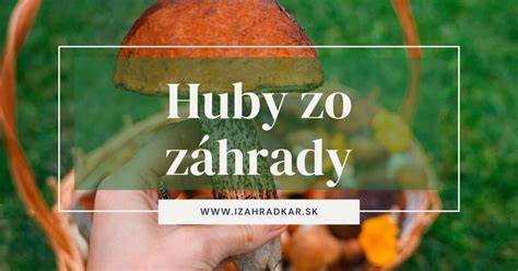 Tabuľka: Druhy húb a ich vhodnosť do polievky