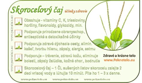 Schéma účinkov skorocelu na organizmus