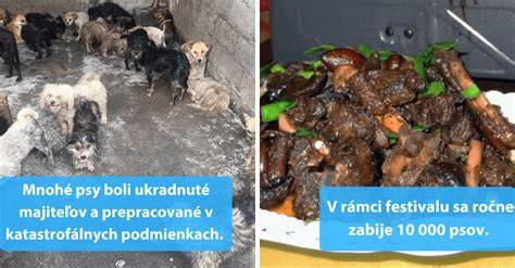 Infografika: vývoj legislatívy a verejného vnímania psieho mäsa