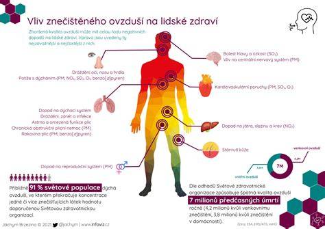 Infografika - Vliv post-workout stravovania na regeneráciu svalov: časové okno, makroživiny a typy jedál