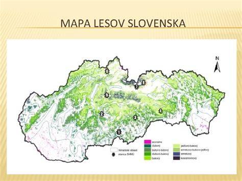 Mapa rozšírenia ihličnatých lesov v európskych regiónoch