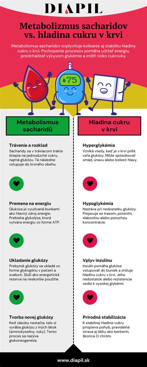 Infografika: Ako cukor ovplyvňuje mozog a hladinu dopamínu