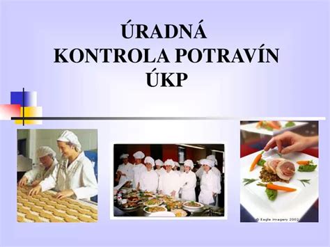 Štátna kontrola potravín
