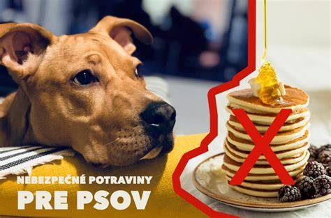 Infografika: Potraviny nebezpecne pre psov a ich efekty