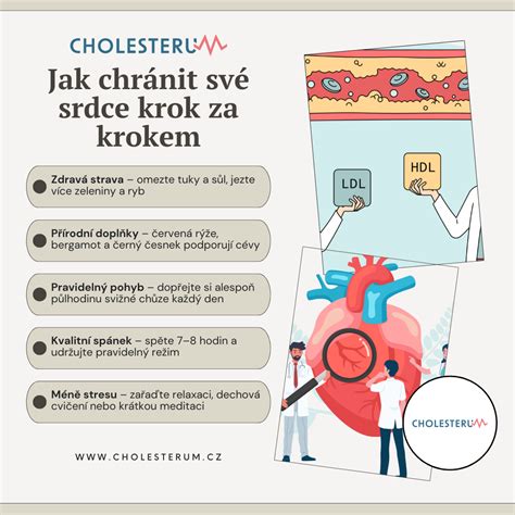 infografika-rady-mrkva.jpg