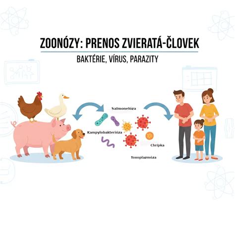 Ilustrácia znázorňujúca rôzne vírusy