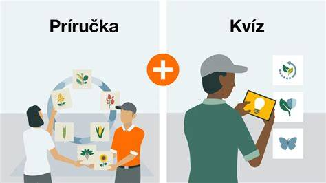 Infografika: Striedanie plodín a výživové cykly kukurice v medziplodinách
