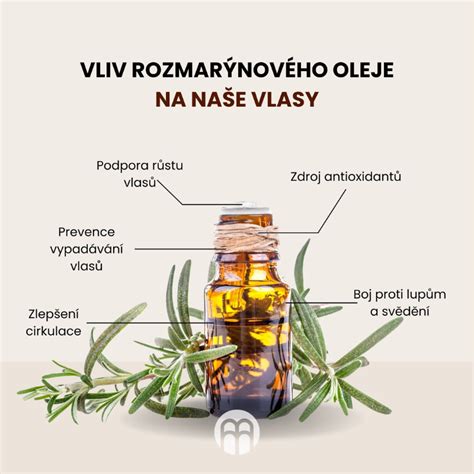 Infografika: Zloženie mrkvy a jeho účinky na pokožku