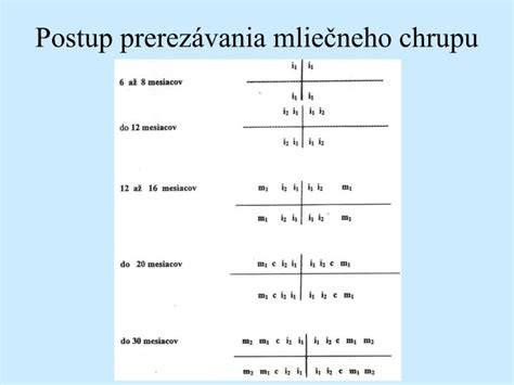 Schéma vývoja mliečneho chrupu a časového rámca prerezávania