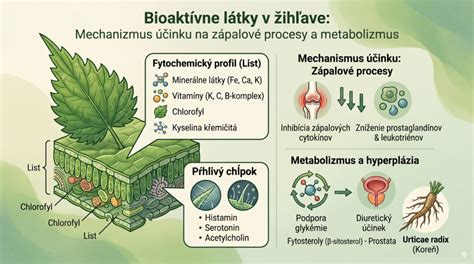 Infografika: Bioaktívne látky v zemiakoch a ich zdravotné účinky
