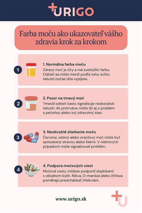 Infografika: prehľad farieb mrkvy a ich látok