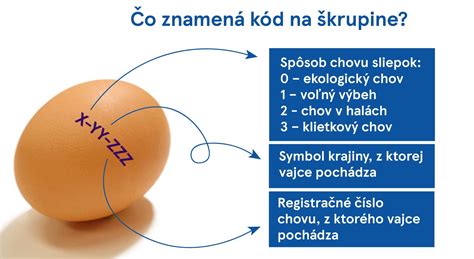 štruktúra kódu na vajciach