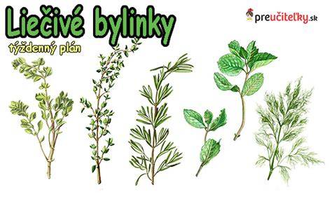 Detoxikačný plán: bylinky, sauna a hydratácia