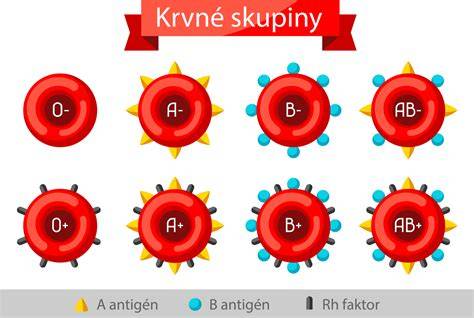 Krvné skupiny a výber surovín pre šalát