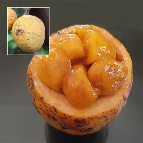 Transportné toky a skladové kapacity Madd Fruit v regióne