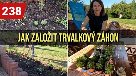 Schéma znázorňujúca postup výsadby bedle