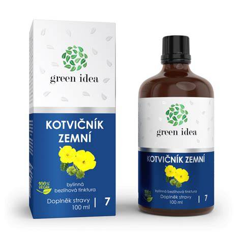 Infografika: Kotvičník zemný - hlavné zložky a účinky