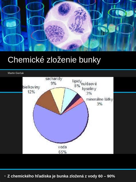 Infografika: chemické zloženie ibištekového čaju a hlavné benefity