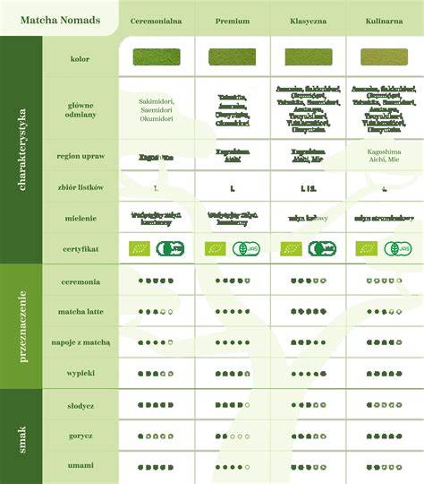 Infografika: Proces výroby matcha od zberu po mletie na kamenný mlyn
